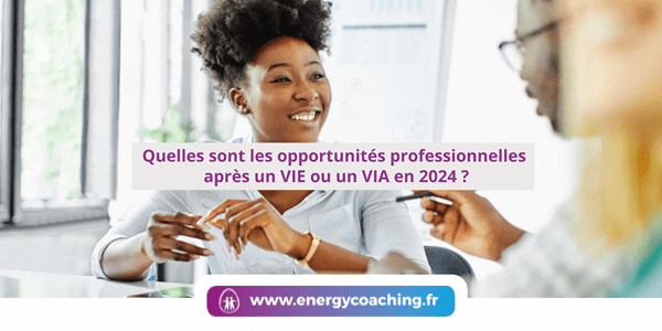 Quelles sont les opportunités professionnelles après un VIE ou un VIA en 2024